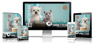 500Pasteleriacaninayfelina